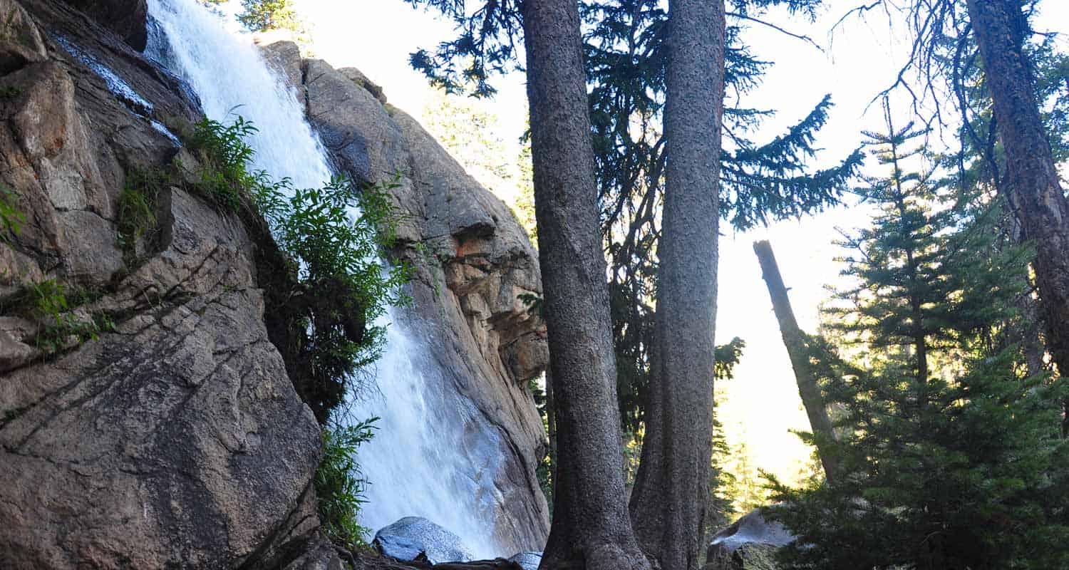 ouzel falls in rmnp spilling over cliff face near giant spruce trees on waterfall hike in rocky mountain national park