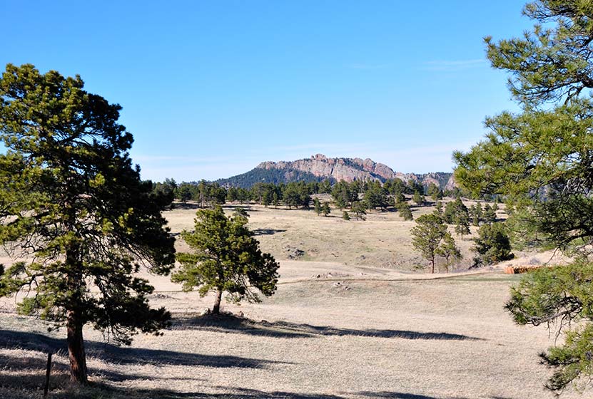 prairie meadow in foreground with ponderosa pines and ralston ridge rock formation in background at White Ranch hike near Denver