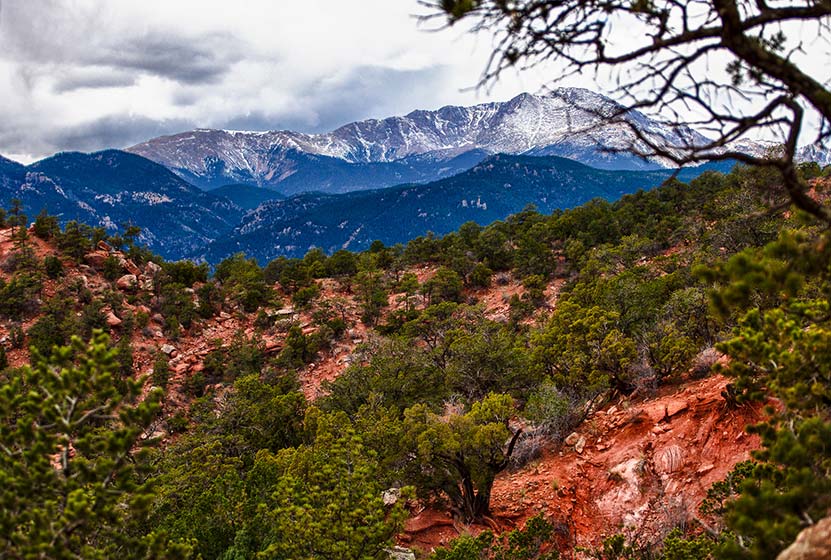 snow covered pikes peak with red sandstone and tree in foreground