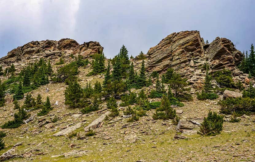 rock formations and trees near on tundra near the summit of chief mountain colorado