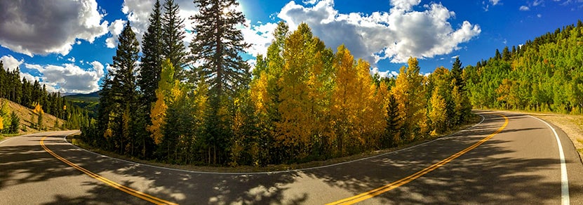 squaw pass road colorado bend in road at switchback with golden aspens and green spruce trees