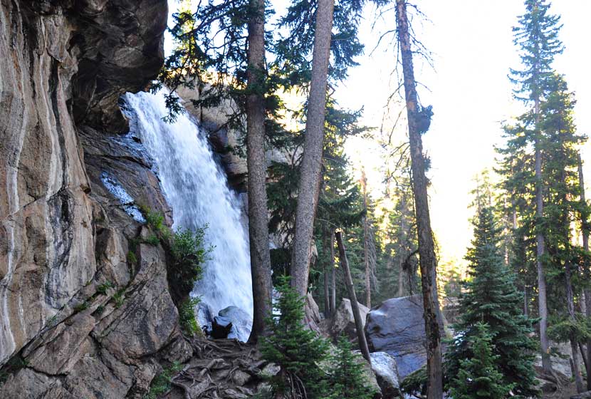 ouzel falls in rmnp waterfall gushing over brown rock with evergreen trees in foreground